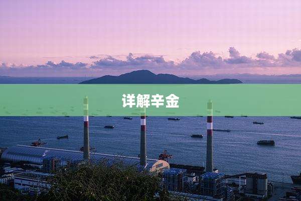 详解辛金