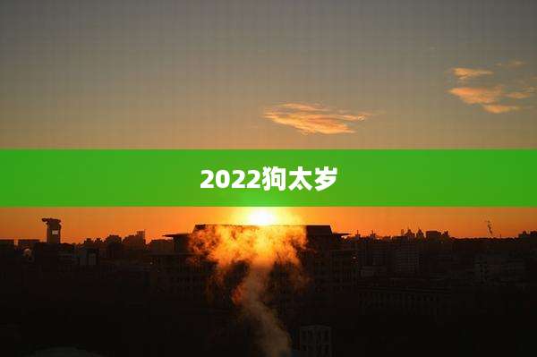2022狗太岁