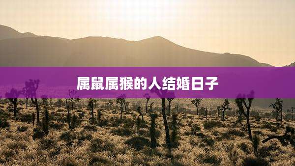 属鼠属猴的人结婚日子