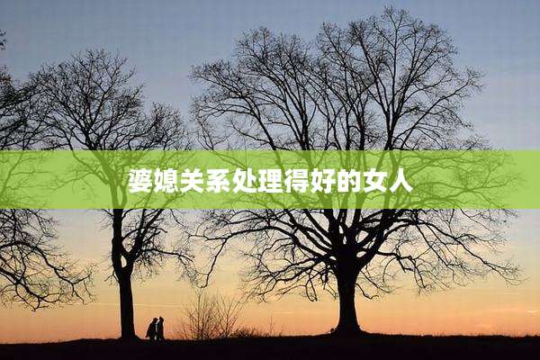 婆媳关系处理得好的女人