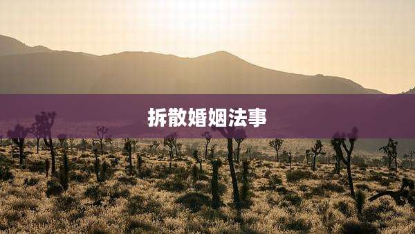 拆散婚姻法事