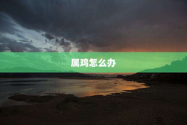 属鸡怎么办