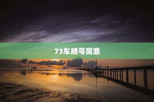 73车牌号寓意