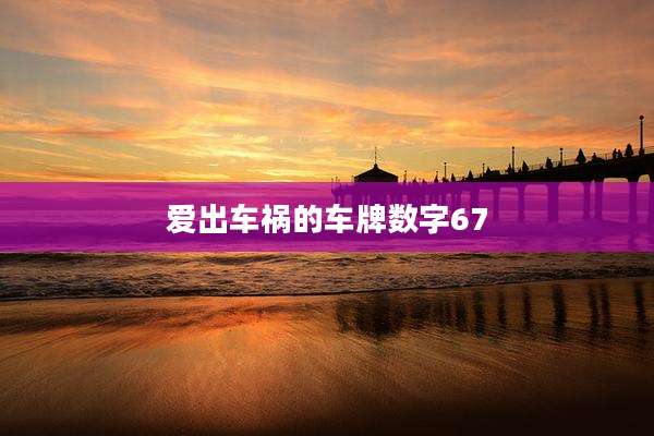 爱出车祸的车牌数字67