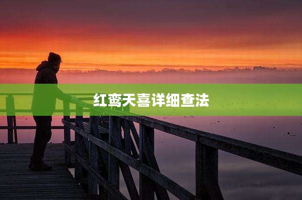红鸾天喜详细查法