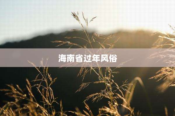 海南省过年风俗