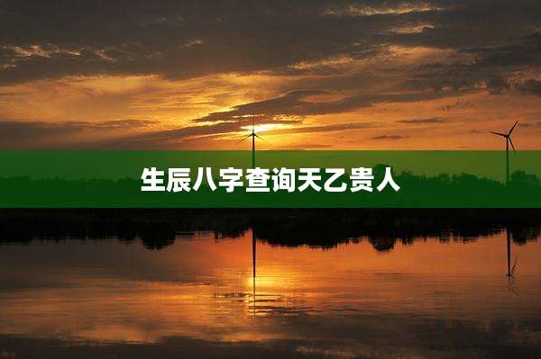 生辰八字查询天乙贵人