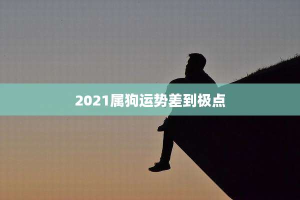 2021属狗运势差到极点