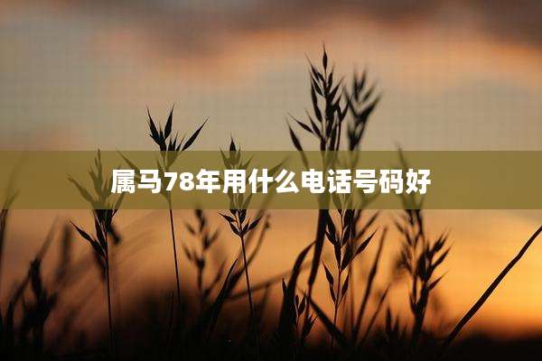 属马78年用什么电话号码好