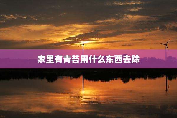 家里有青苔用什么东西去除