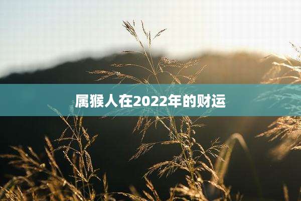 属猴人在2022年的财运