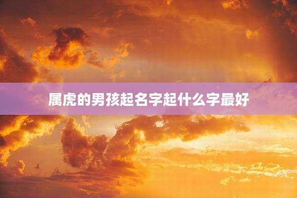 属虎的男孩起名字起什么字最好