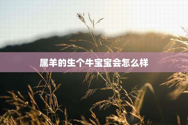 属羊的生个牛宝宝会怎么样