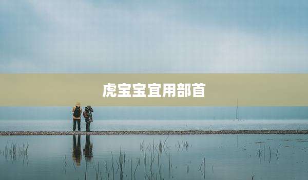 虎宝宝宜用部首