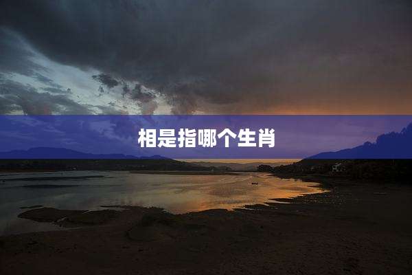 相是指哪个生肖