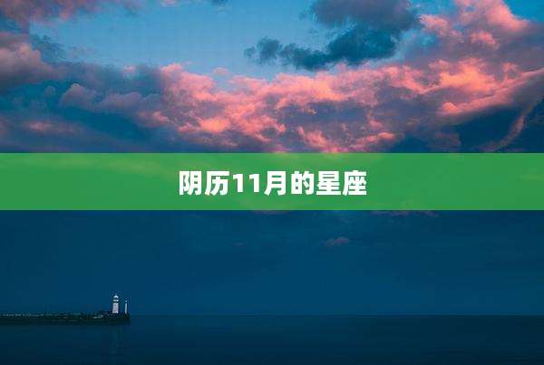 阴历11月的星座
