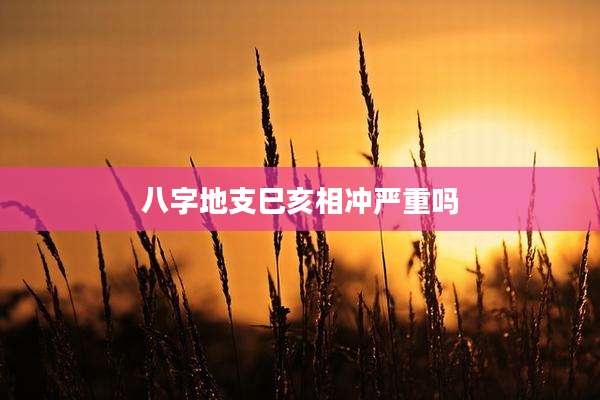 八字地支巳亥相冲严重吗