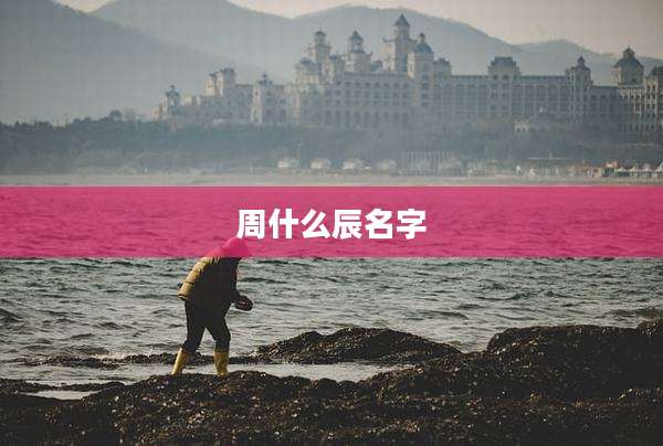 周什么辰名字