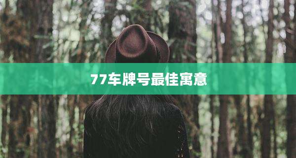 77车牌号最佳寓意