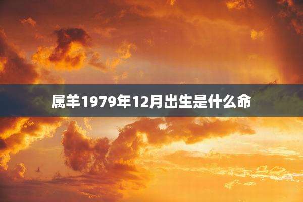 属羊1979年12月出生是什么命