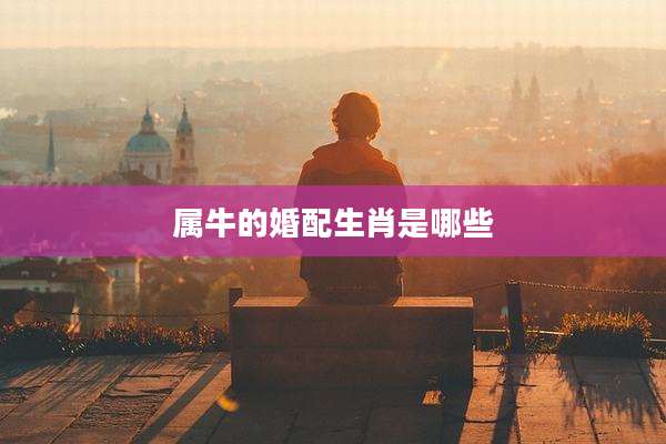 属牛的婚配生肖是哪些