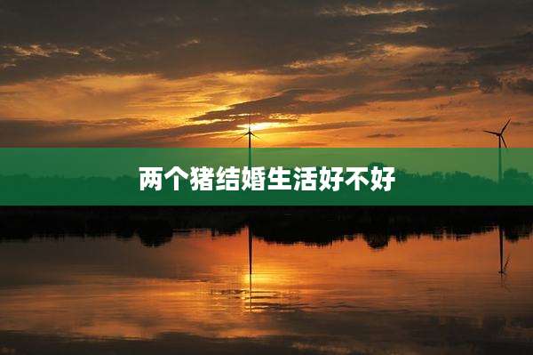 两个猪结婚生活好不好