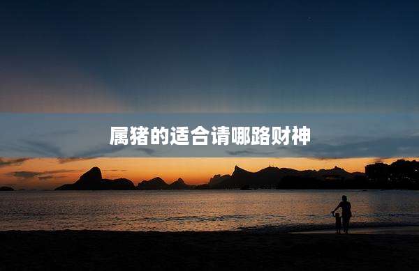 属猪的适合请哪路财神