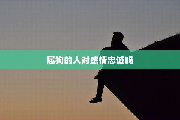 属狗的人对感情忠诚吗