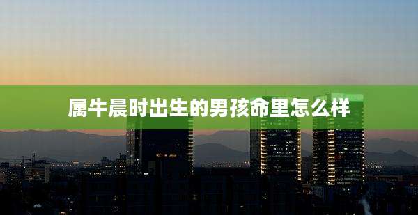 属牛晨时出生的男孩命里怎么样