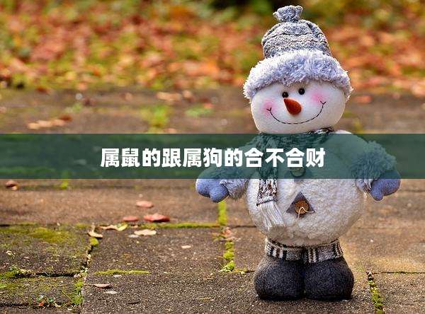 属鼠的跟属狗的合不合财