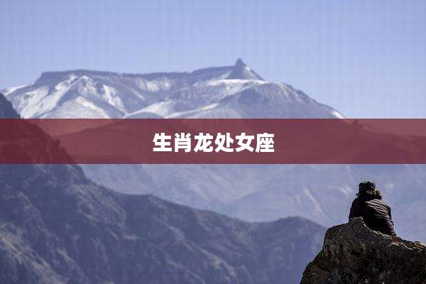 生肖龙处女座