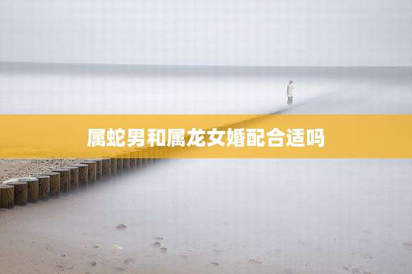 属蛇男和属龙女婚配合适吗