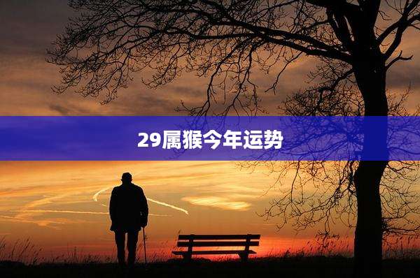29属猴今年运势