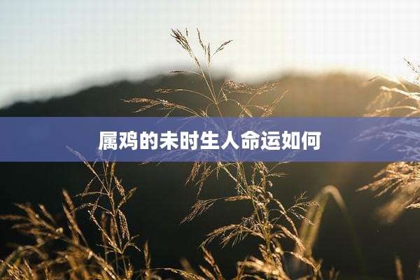 属鸡的未时生人命运如何