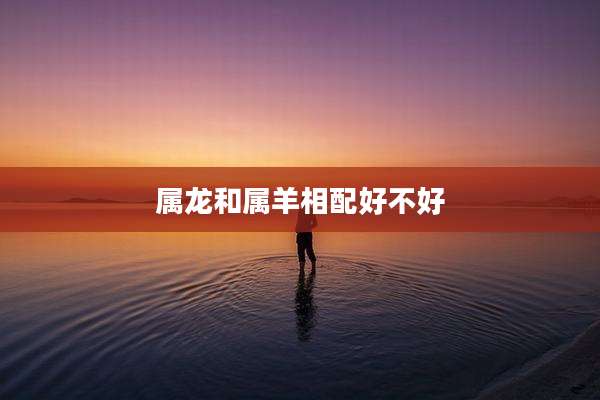 属龙和属羊相配好不好