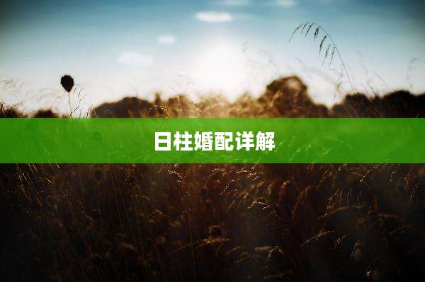 日柱婚配详解