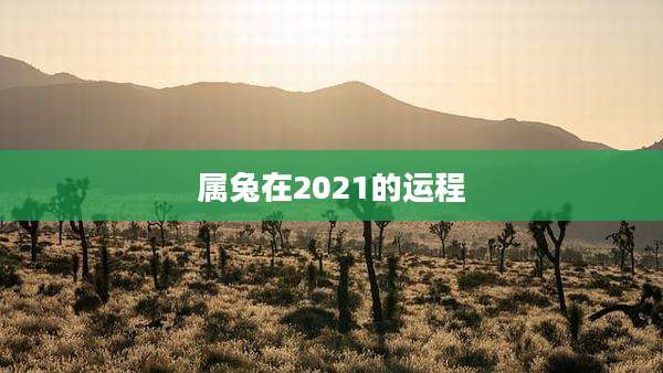 属兔在2021的运程