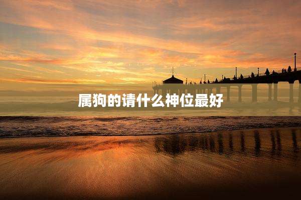 属狗的请什么神位最好