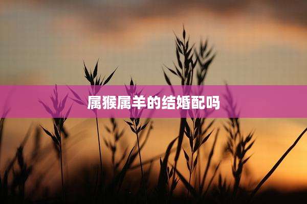 属猴属羊的结婚配吗