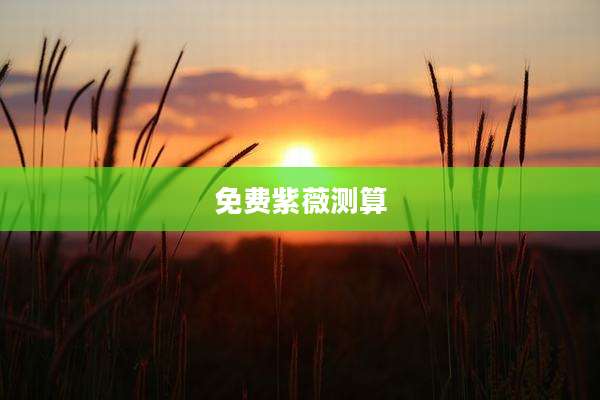 免费紫薇测算