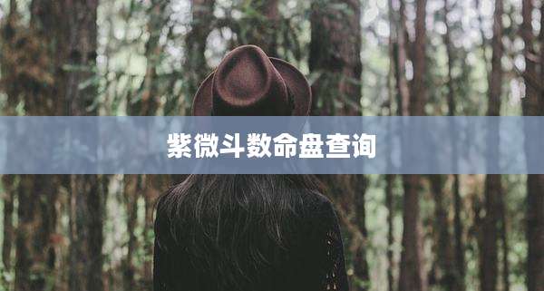 紫微斗数命盘查询
