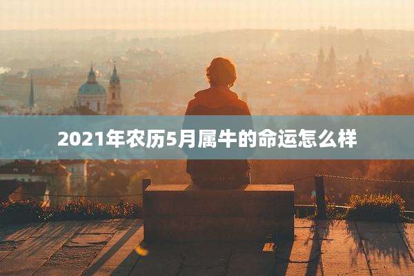 2021年农历5月属牛的命运怎么样