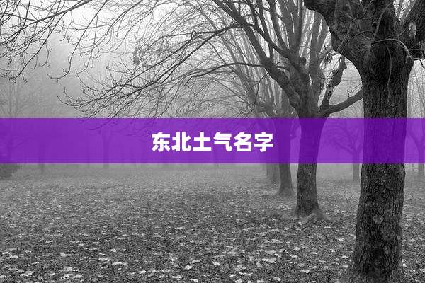 东北土气名字