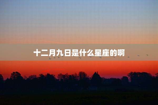 十二月九日是什么星座的啊