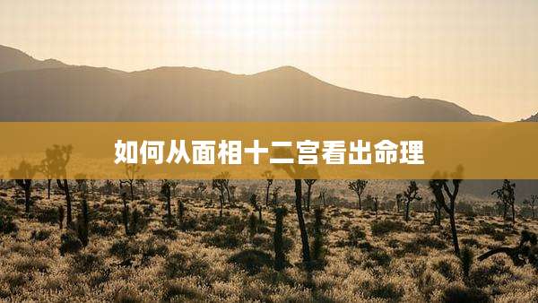 如何从面相十二宫看出命理