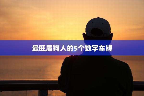 最旺属狗人的5个数字车牌