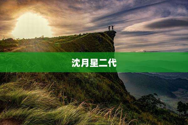 沈月星二代