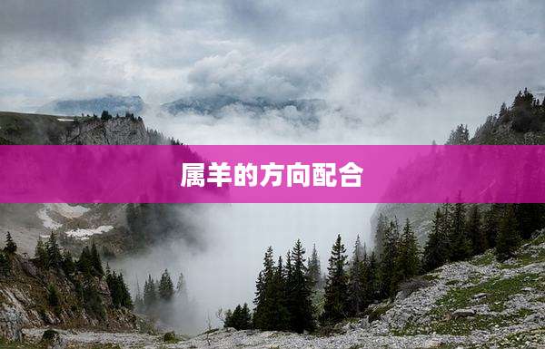 属羊的方向配合