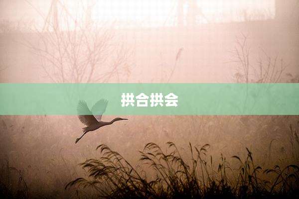 拱合拱会
