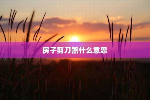 房子剪刀煞什么意思